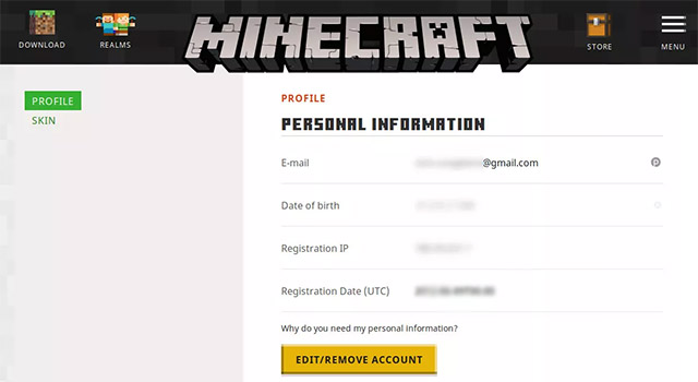 Phần Profile Minecraft