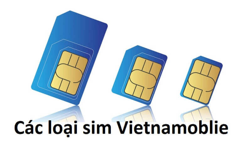 Bom sim tạo sự ấn tượng khó phai