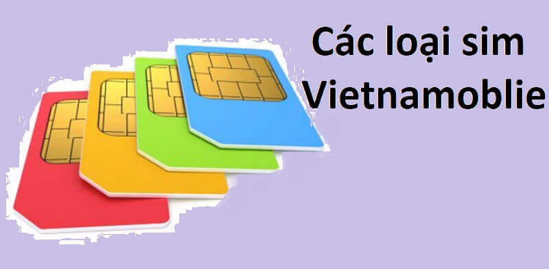 Một vài lưu ý cần nắm khi lựa chọn sim Vietnamobile