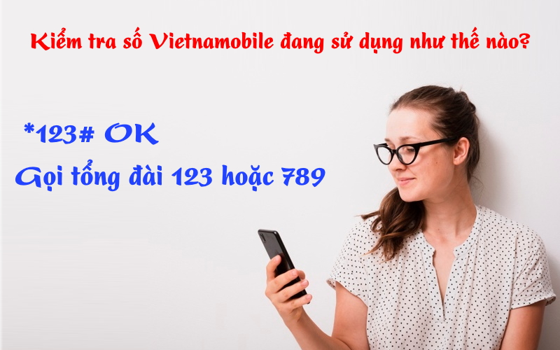 Cách kiểm tra số điện thoại Vietnamobile đang sử dụng
