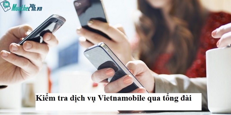 Tiết lộ 2 cách kiểm tra dịch vụ Vietnamobile thần thánh hiệu quả!
