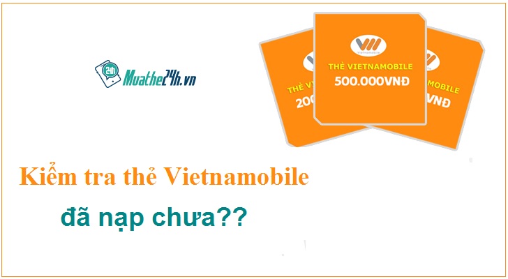 Kiểm tra trạng thái thẻ Vietnamobile đã nạp chưa?